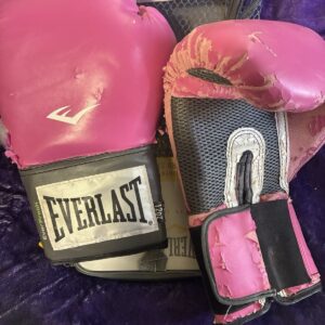 Everlast Women’s Pro Style  12 oz. Pink Training Boxing Gloves USED