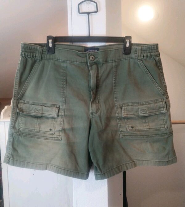 Great Northwest Clothing Co. Cargo Shorts Women Size 40 Green Stretch Camp Hike