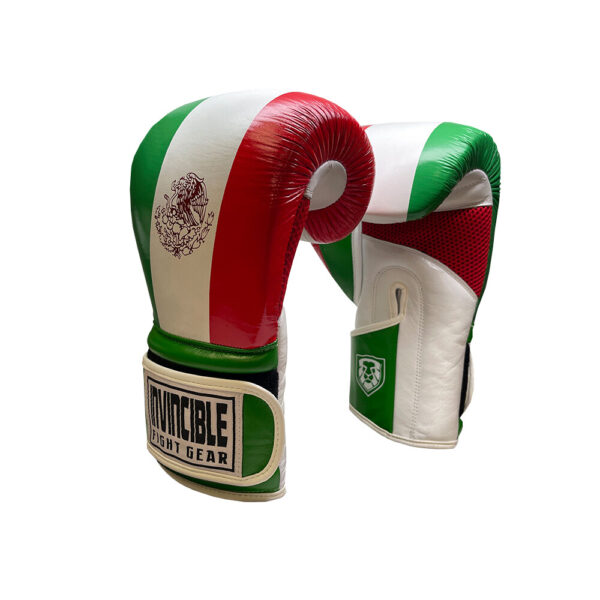 Invincible Fight Gear Hook and Loop Leather Training Gloves with Mexican Flag