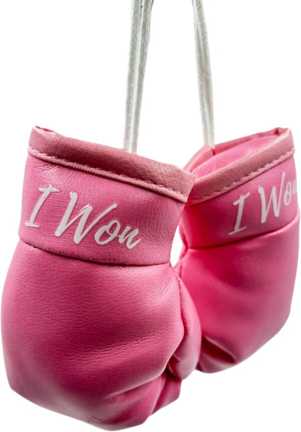 Breast Cancer Awareness Accessories Pink Mini Boxing Gloves Car Mirror Hanging Decor，Breast Cancer Gifts for Women，Non-Toxic Safe Driving Accessories Cancer Survivor Gifts for Woman (I Won)