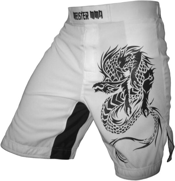 Meister MMA Dragon Hybrid Flex Board Shorts