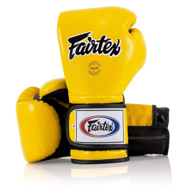 Fairtex Muay Thai Boxing Gloves BGV9 - Heavy Hitter Mexican Style Training & ...