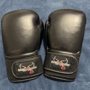 Century I Love Kickboxing Gloves MMA Adult Training Gloves Unisex Martial Arts